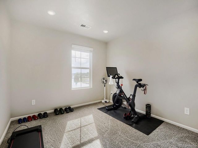 1642 Colorado River Dr, Windsor, CO 80550