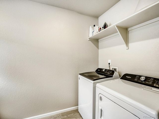 1642 Colorado River Dr, Windsor, CO 80550