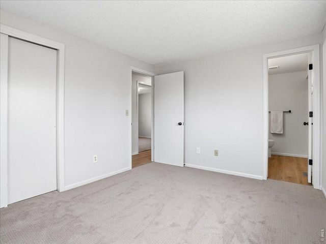 1319 Edwina Pl, Loveland, CO 80537