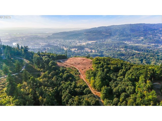 Nw 389th St, Woodland, WA 98674