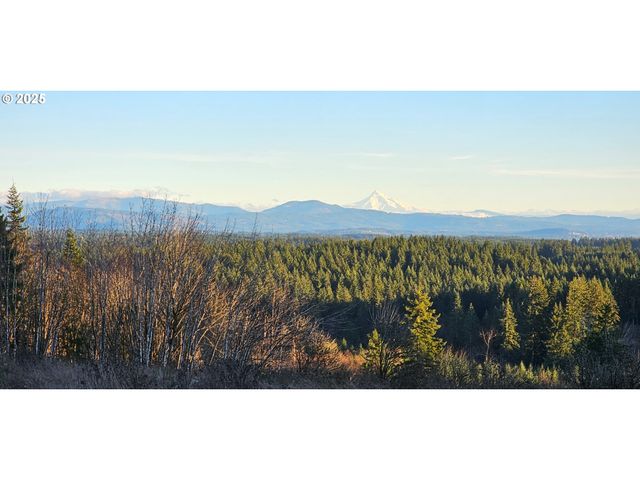 Nw 389th St, Woodland, WA 98674