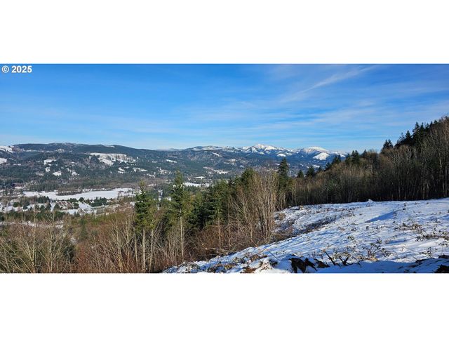 Nw 389th St, Woodland, WA 98674