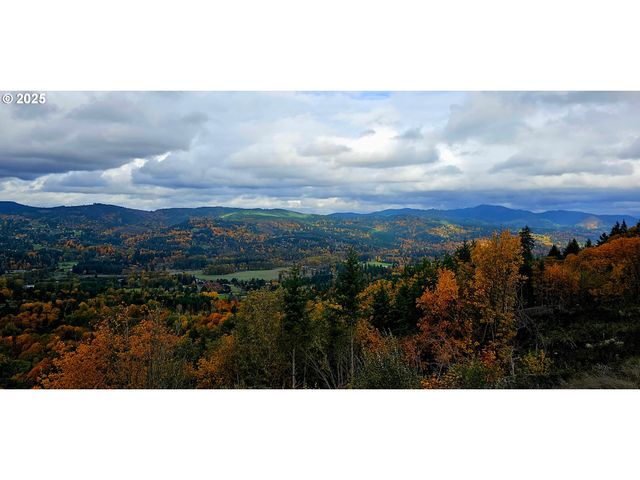 Nw 389th St, Woodland, WA 98674