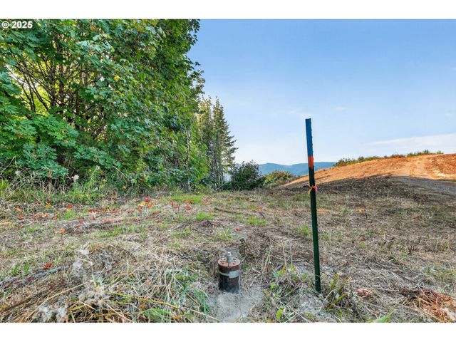 Nw 389th St, Woodland, WA 98674