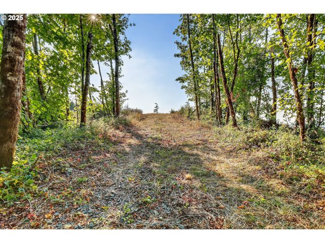 Nw 389th St, Woodland, WA 98674