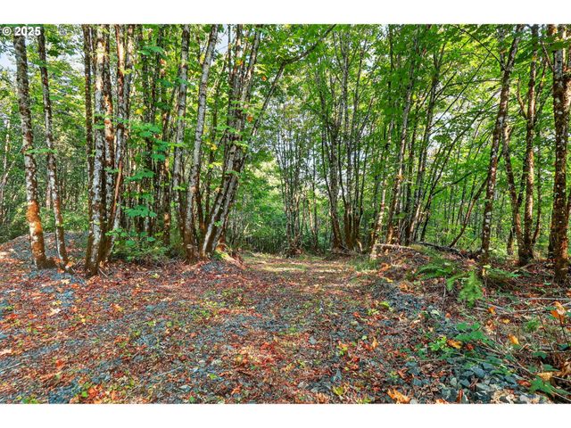 Nw 389th St, Woodland, WA 98674