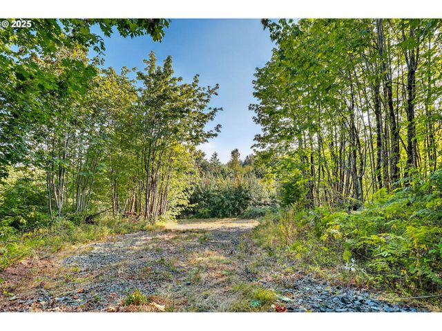 Nw 389th St, Woodland, WA 98674