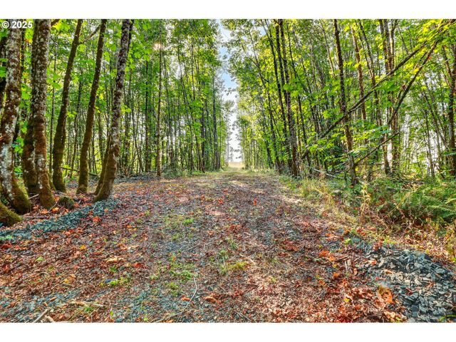 Nw 389th St, Woodland, WA 98674