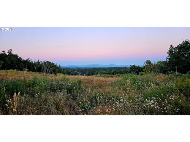 Nw 389th St, Woodland, WA 98674