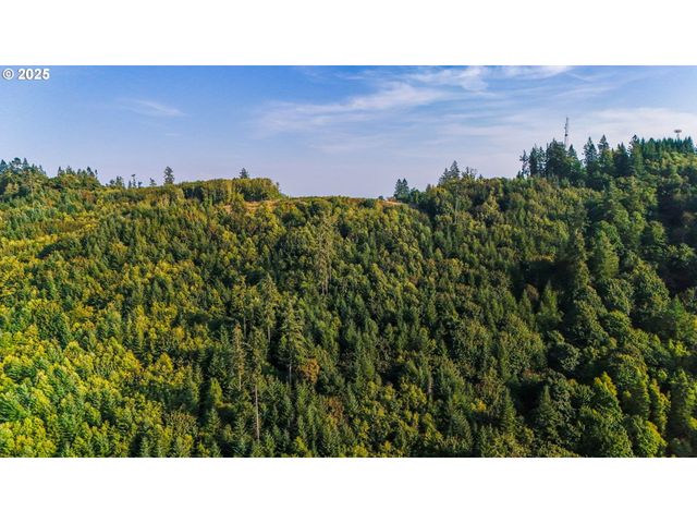 Nw 389th St, Woodland, WA 98674