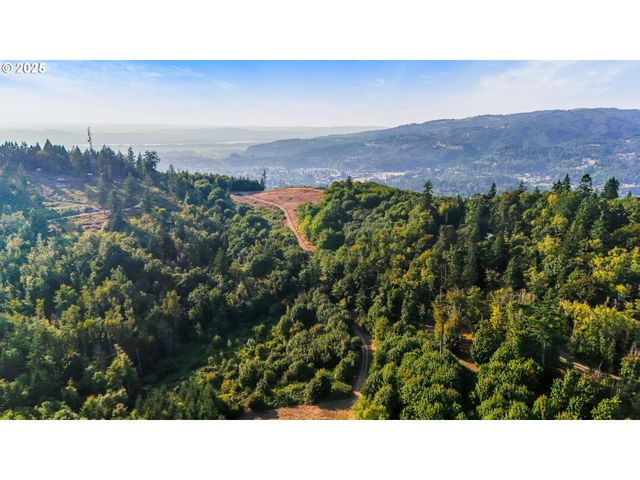 Nw 389th St, Woodland, WA 98674