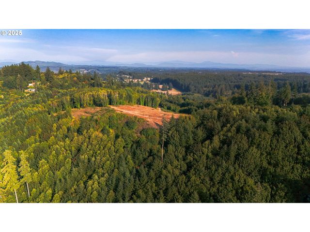 Nw 389th St, Woodland, WA 98674