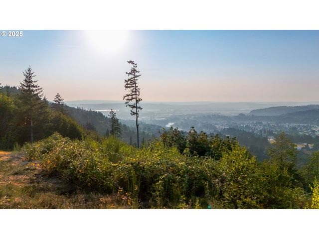 Nw 389th St, Woodland, WA 98674