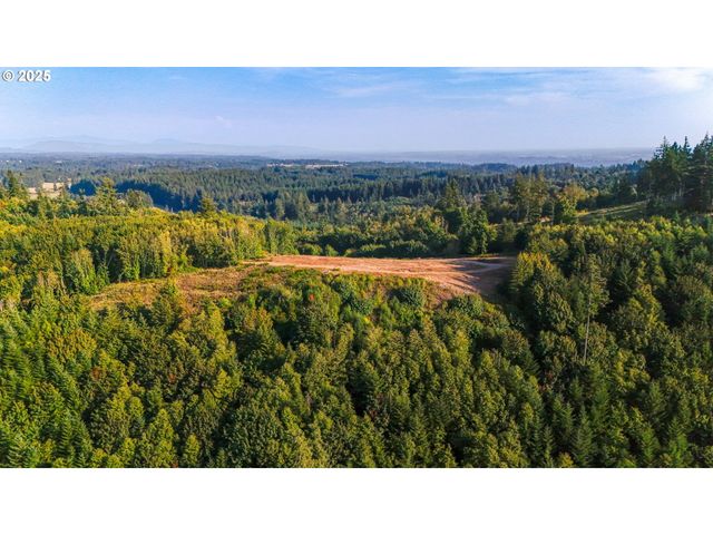 Nw 389th St, Woodland, WA 98674