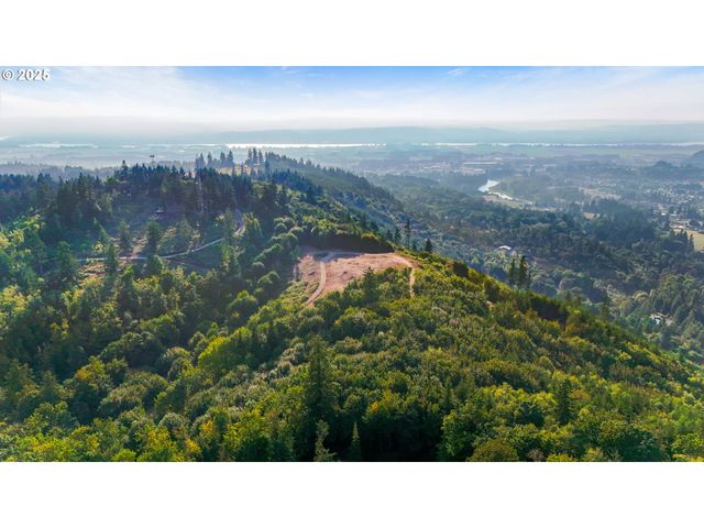 Nw 389th St, Woodland, WA 98674