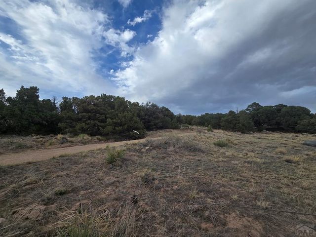 91 Comanche Dr, Walsenburg, CO 81089