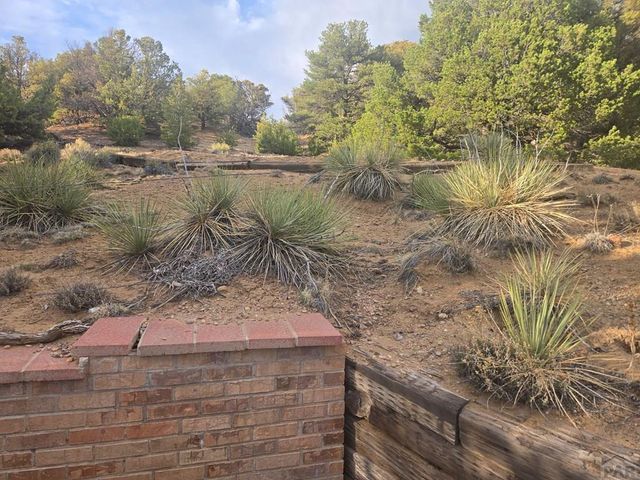 91 Comanche Dr, Walsenburg, CO 81089