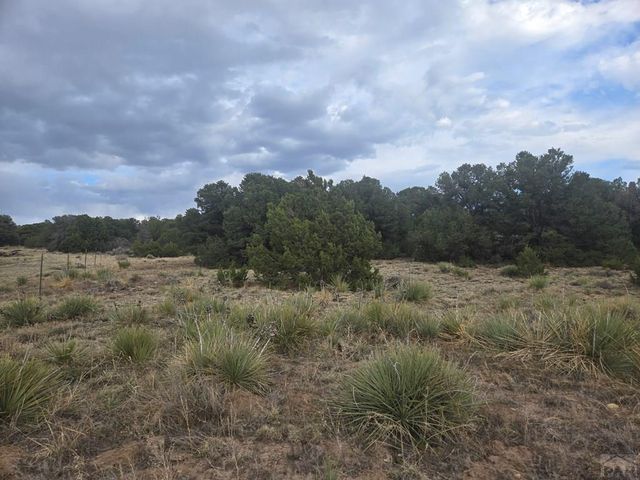 91 Comanche Dr, Walsenburg, CO 81089