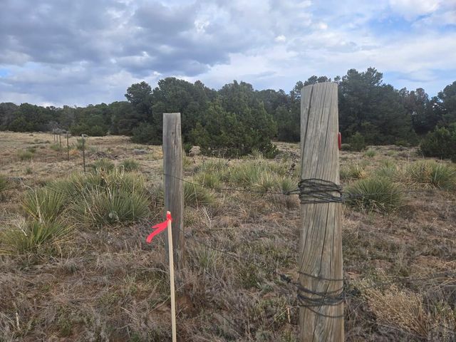 91 Comanche Dr, Walsenburg, CO 81089