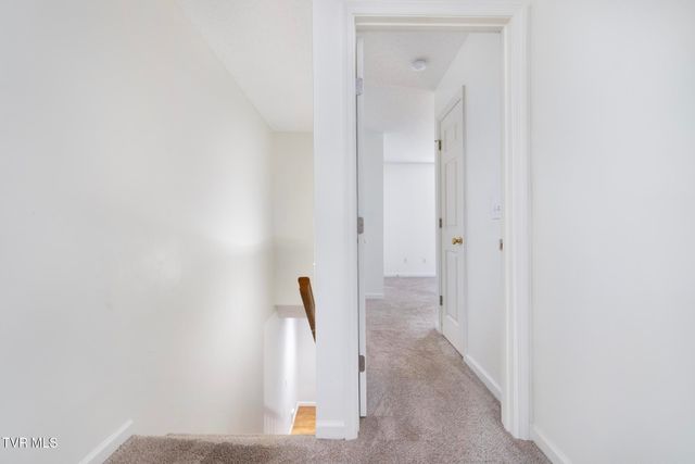 3115 West Walnut Street, 6, Johnson City, TN 37604