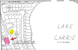 1040 Wildflower Street, Lake Placid, FL 33852