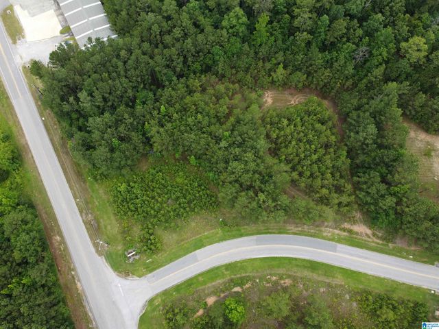 341 APPLEGATE PARKWAY, Pelham, AL 35124