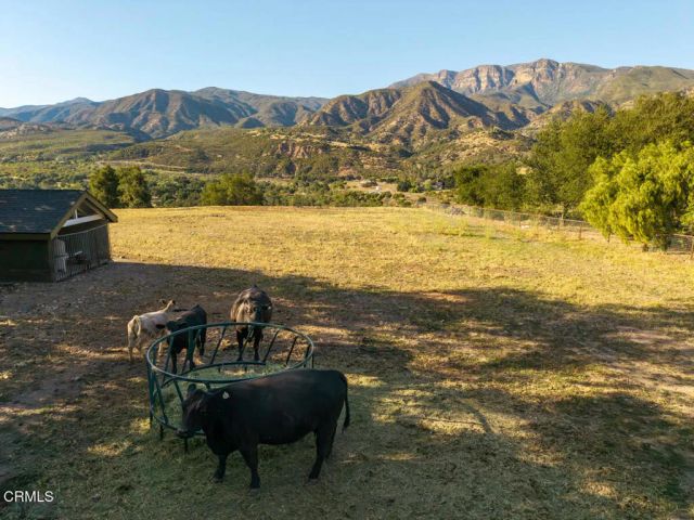13100 Ojai Road, Santa Paula, CA 93060