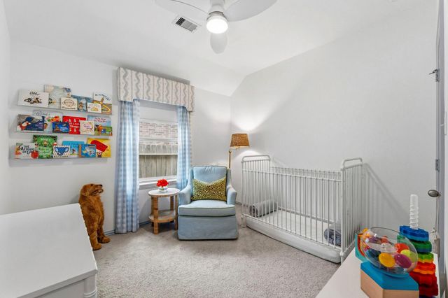 209 Emory Birch Drive, Montgomery, TX 77316