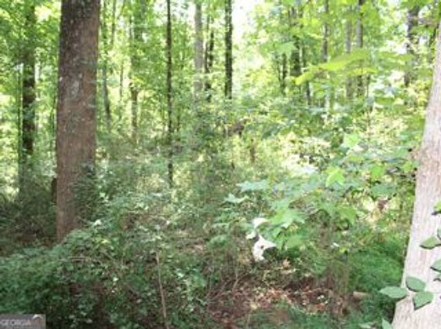 3575 Pleasant Grove Road, Cumming, GA 30028