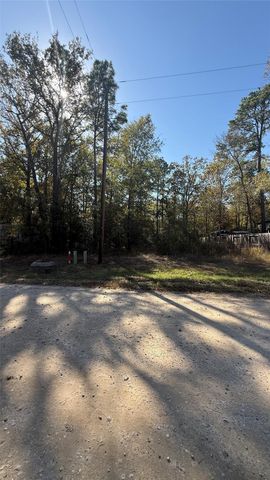 0 Brackenridge, Livingston, TX 77351