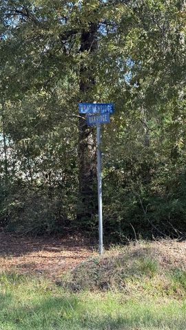 0 Brackenridge, Livingston, TX 77351