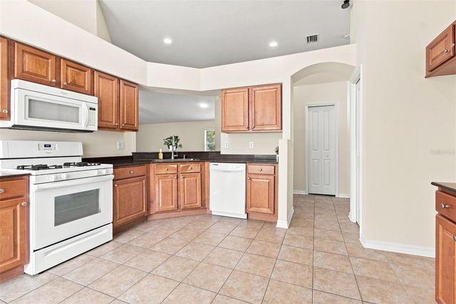 24132 DENALI COURT, Lutz, FL 33559