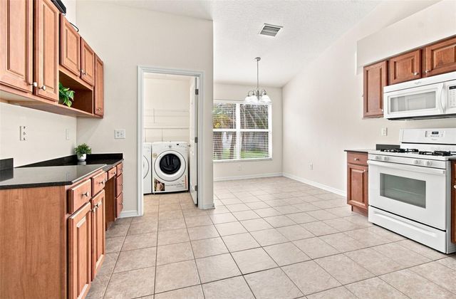 24132 DENALI COURT, Lutz, FL 33559
