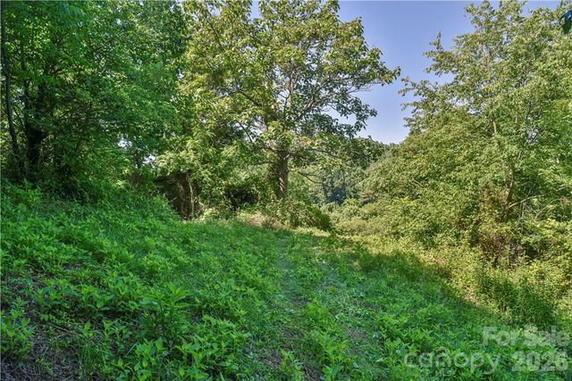 415 Weaverville Road, Asheville, NC 28804