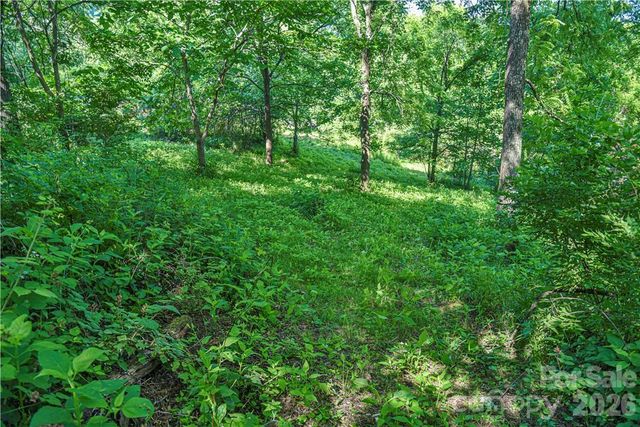415 Weaverville Road, Asheville, NC 28804