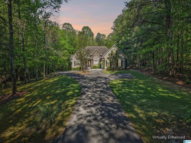 910 TWIN BLUFFS DRIVE, Springville, AL 35120