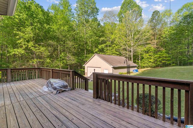 910 TWIN BLUFFS DRIVE, Springville, AL 35120