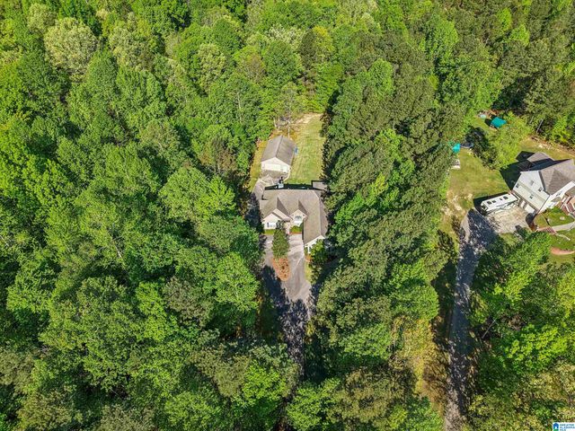 910 TWIN BLUFFS DRIVE, Springville, AL 35120