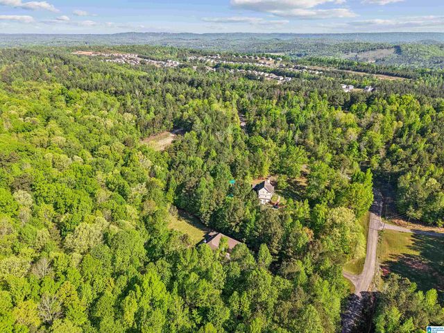 910 TWIN BLUFFS DRIVE, Springville, AL 35120