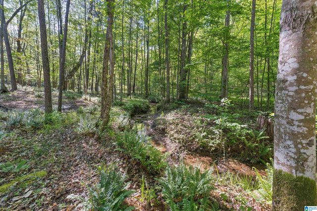 910 TWIN BLUFFS DRIVE, Springville, AL 35120