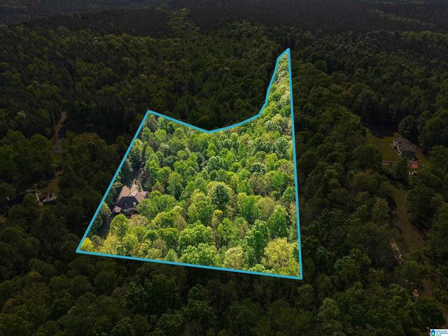 910 TWIN BLUFFS DRIVE, Springville, AL 35120