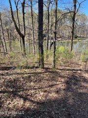 12 Boka Cove, Hernando, MS 38632