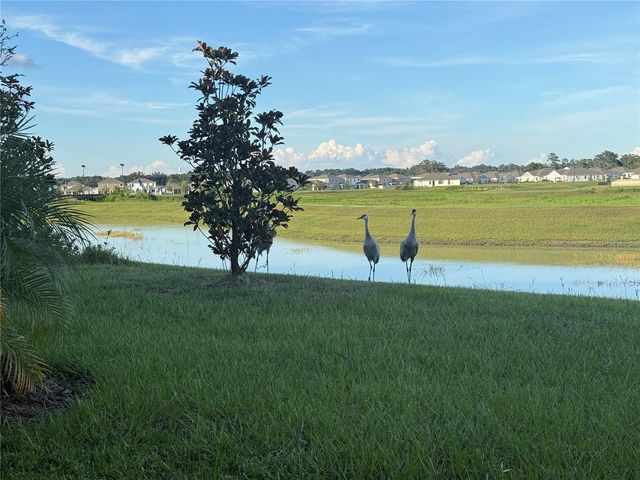 10958 RUSTIC TIMBER LOOP, San Antonio, FL 33576