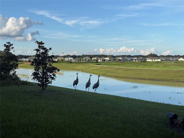 10958 RUSTIC TIMBER LOOP, San Antonio, FL 33576