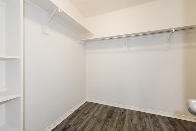 8518 Sports Haven Drive, Humble, TX 77346