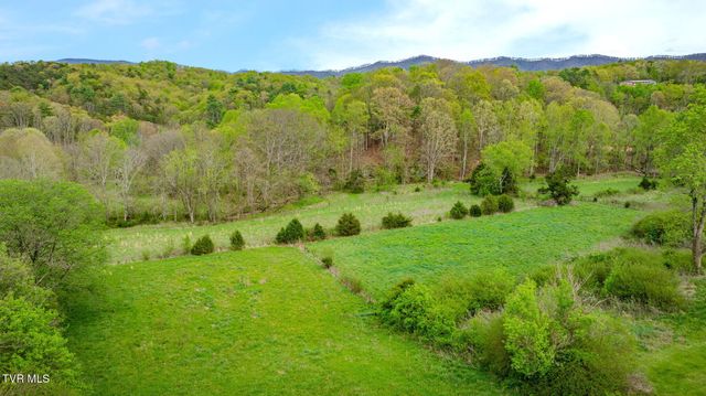 1620 Chinquapin Grove Road, Bluff City, TN 37618