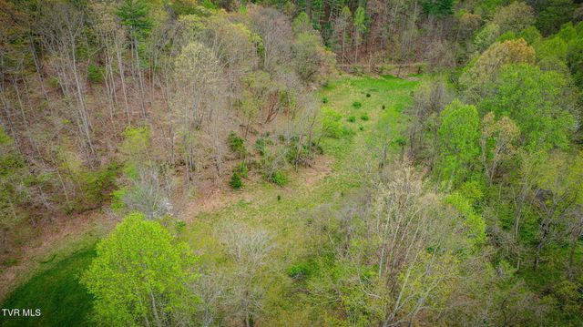 1620 Chinquapin Grove Road, Bluff City, TN 37618