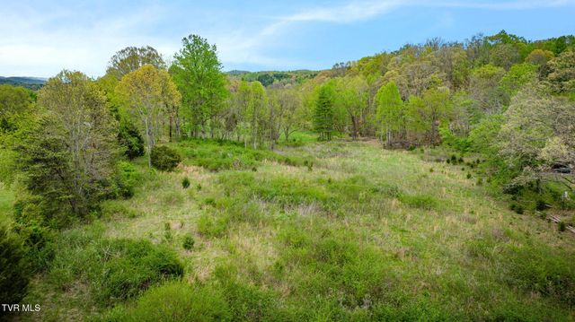 1620 Chinquapin Grove Road, Bluff City, TN 37618