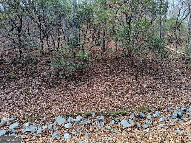 LOT 10 Cherokee Circle 10, Ellijay, GA 30540