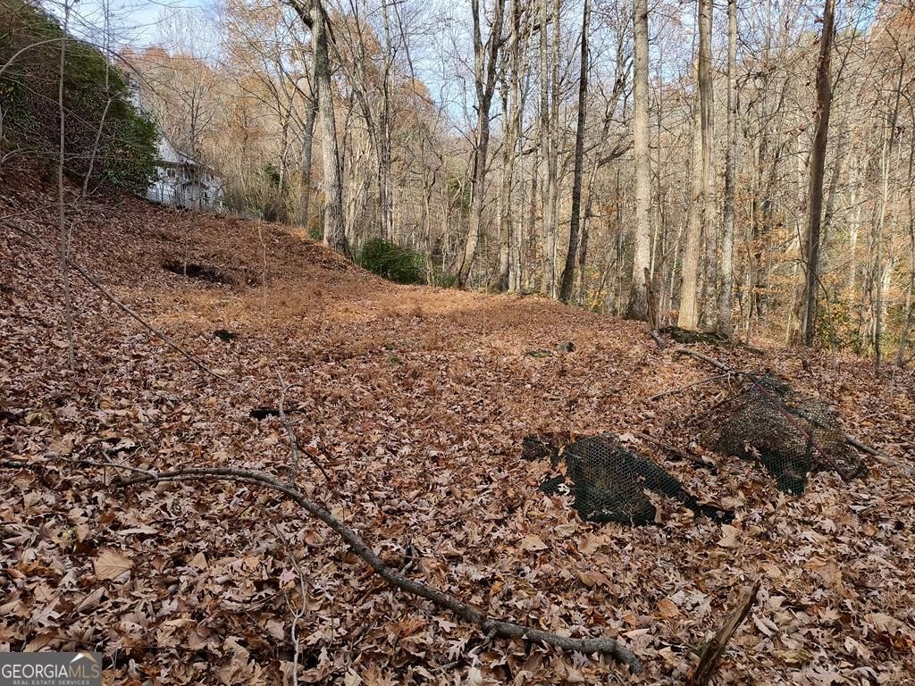 LOT 10 Cherokee Circle 10, Ellijay, GA 30540